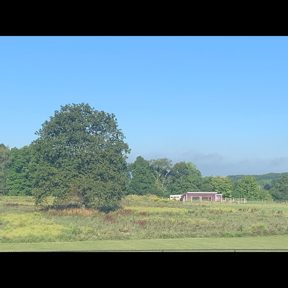 Meet your Posher, Jeana